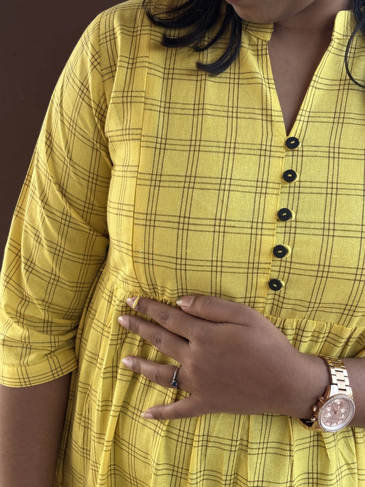 Marigold Checks Maternity Feeding Dress